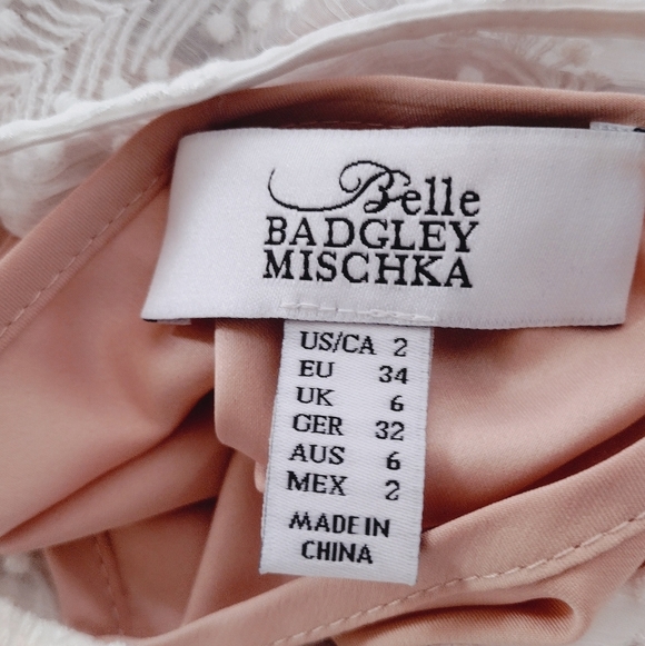 Badgley Mischka Soft White Sheer Lace Mini Dress With Nude Dress Slip - Picture 8 of 8